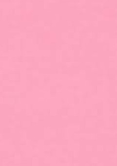 　推しにリアコする私は本人公認ストーカーになりました 。　