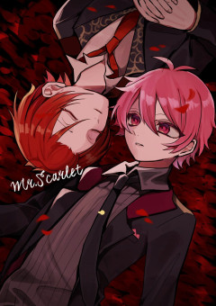 Mr. scarlet