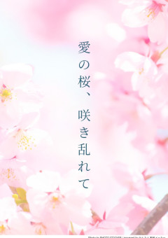 愛の桜、咲き乱れて