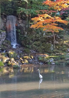 写真部