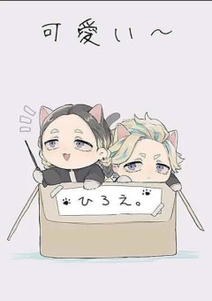 本音ぶちまける(‘ᾥ’)➕雑談