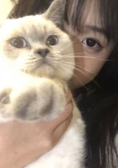 　　　シ ス コ ン な 兄 た ち