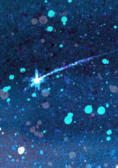 僕視点のリアルとネット