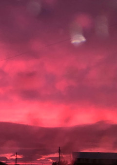 病系短編集 短編集 の小説 夢小説検索結果 64件 無料スマホ夢小説ならプリ小説 Bygmo