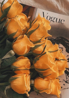 橙くん、愛されます。