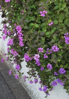 お友達部屋～❗️#すべてまとめました