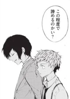 【ヒロアカ】【文スト】太宰妹、転生したらしい