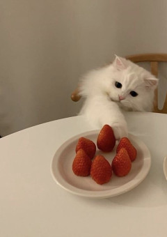 　𝐅𝐫𝐢𝐞𝐧𝐝　．　𝐉𝐨𝐡𝐧𝐧𝐲'𝐬