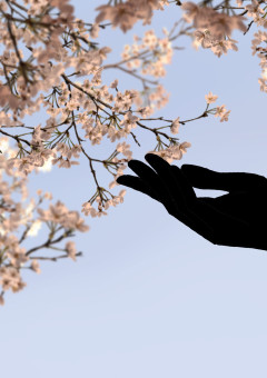 支え合え僕達桜の花びら