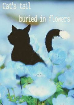 Cat's tail buried in flowers