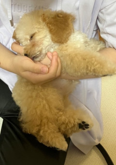 限界オタクの吐き出し場