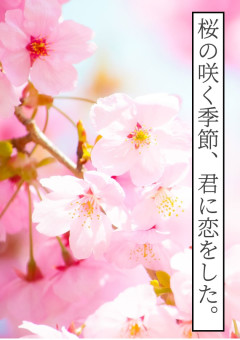 桜の咲く季節、君に恋をした。