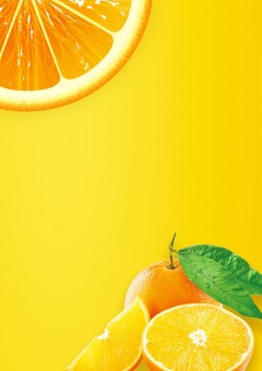 専用部屋! #＠🍊みかん🍊さん」の小説・夢小説検索結果（1件）｜無料