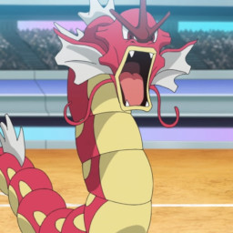 第50話 ４９1位を決める戦い ワタルvsダンデ リヨ からぴち ポケモン シェアハウス 無料スマホ夢小説ならプリ小説 Bygmo