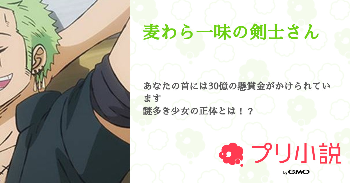 第6話 ごー 麦わら一味の剣士さん 無料スマホ夢小説ならプリ小説 Bygmo