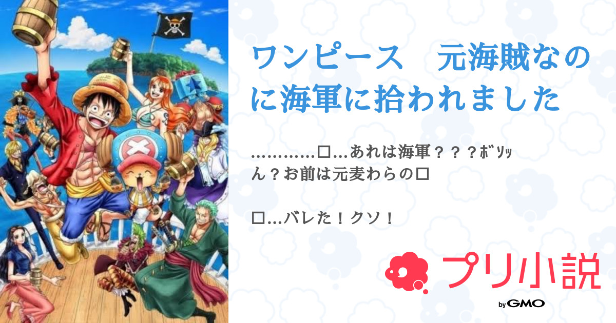 ワンピース 元海賊なのに海軍に拾われました 全34話 連載中 ヒヨコさんの小説 無料スマホ夢小説ならプリ小説 Bygmo
