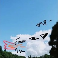 めこ　　さんのアイコン画像