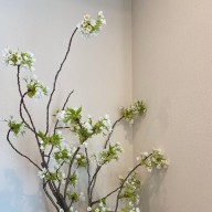 笹さんのアイコン画像