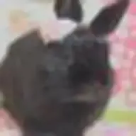 Rpさんのアイコン画像