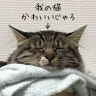 👑𝒜𝒴𝒰👑さんのアイコン画像