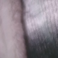 みーさんのアイコン画像