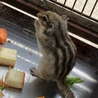 クロスさんのアイコン画像