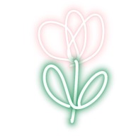 🌷ちゅーりっぷ🌷