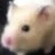 🐰ミノさんのアイコン画像