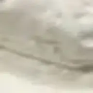 華さんのアイコン画像