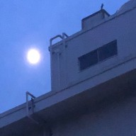 (^ ^)さんのアイコン画像