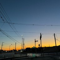 にこさんのアイコン画像