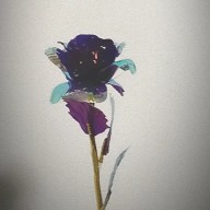 梅干し。Yuikaさんのアイコン画像