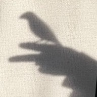 🗻さんのアイコン画像