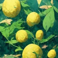 四葉　レモン