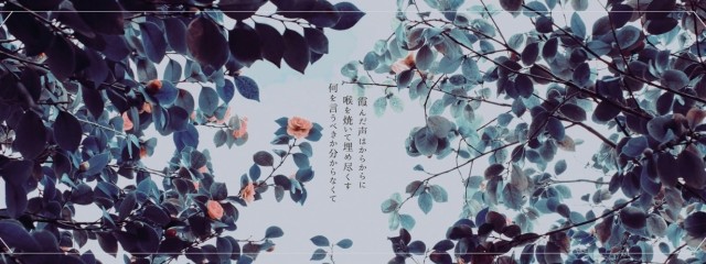翡翠　-ヒスイ-さんの壁紙画像