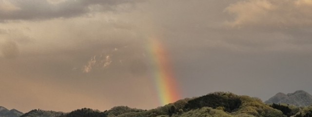 虹のかけら🌈さんの壁紙画像