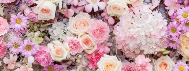 🌹💐結愛(ゆあ)🌹💐さんの壁紙画像