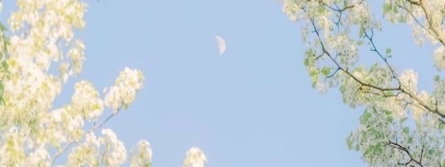 楊彪（ﾖｳﾋｮｳ）