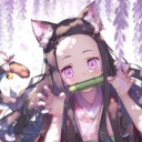 竈門禰豆子(ネコ)
