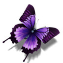 藤紫の蝶(鬼蝶)