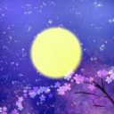 MidnightSky