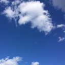 全員