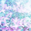 ○○(メッセージ用)