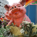 鰤野豚恋