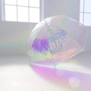 夢主以外の全員