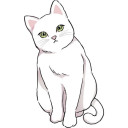 野良猫