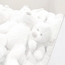 馬鹿作者(まい)