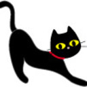 クロコ 猫猫