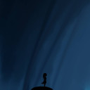 作者