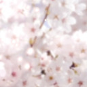 ないこ&あなた